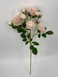 FN20075 SPRAY ROSE (NAT)  21"