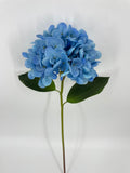 FN20076 HYDRANGEA (NAT)  22"