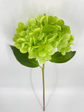 FN20076 HYDRANGEA (NAT)  22"