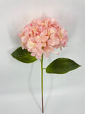 FN20076 HYDRANGEA (NAT)  22"