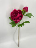 FN20079 PEONY SPRAYx1F1B (NAT)  25"