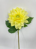 FN20081 DAHLIA (NAT)  27"