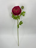 FN20082 RANUNCULUS SPRAYx1F1B (NAT)  22"