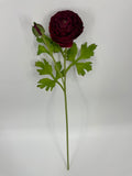 FN20082 RANUNCULUS SPRAYx1F1B (NAT)  22"