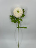 FN20082 RANUNCULUS SPRAYx1F1B (NAT)  22"