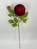 FN20082 RANUNCULUS SPRAYx1F1B (NAT)  22"