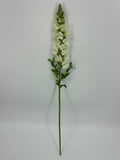 FN20085 SNAPDRAGON (NAT)  34"