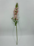 FN20085 SNAPDRAGON (NAT)  34"