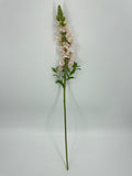FN20085 SNAPDRAGON (NAT)  34"