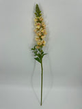 FN20085 SNAPDRAGON (NAT)  34"