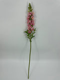 FN20085 SNAPDRAGON (NAT)  34"