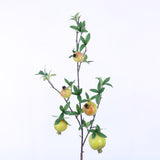 FR10027 POMEGRANATE BRNACHx5,38in-30P