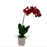 GA101211-793 POTTED ORCHID,23in