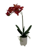 GA101211-793 POTTED ORCHID,23in