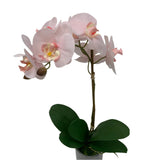 GA101211-793 POTTED ORCHID,23in