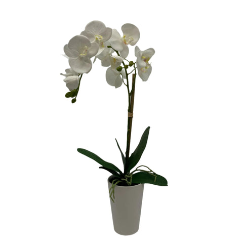 GA4032-482 POTTED ORCHID,26in
