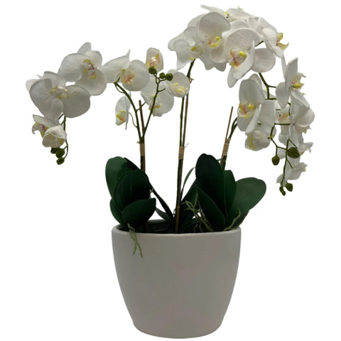 GA4043-481/482 POTTED ORCHID,29in