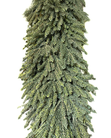 GG3448-10 10 PINE GARLAND,10'