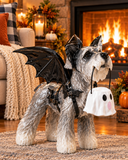 HR10007 SCHNAUZER IN BATMAN COSTUME w/BKT,20"