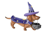 HR10009 DACHSHUND IN WIZARD COSTUME w/BKT,14.5"