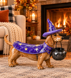 HR10009 DACHSHUND IN WIZARD COSTUME w/BKT,14.5"