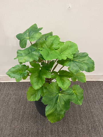 BG10660 MELON LEAF BUSH 22"