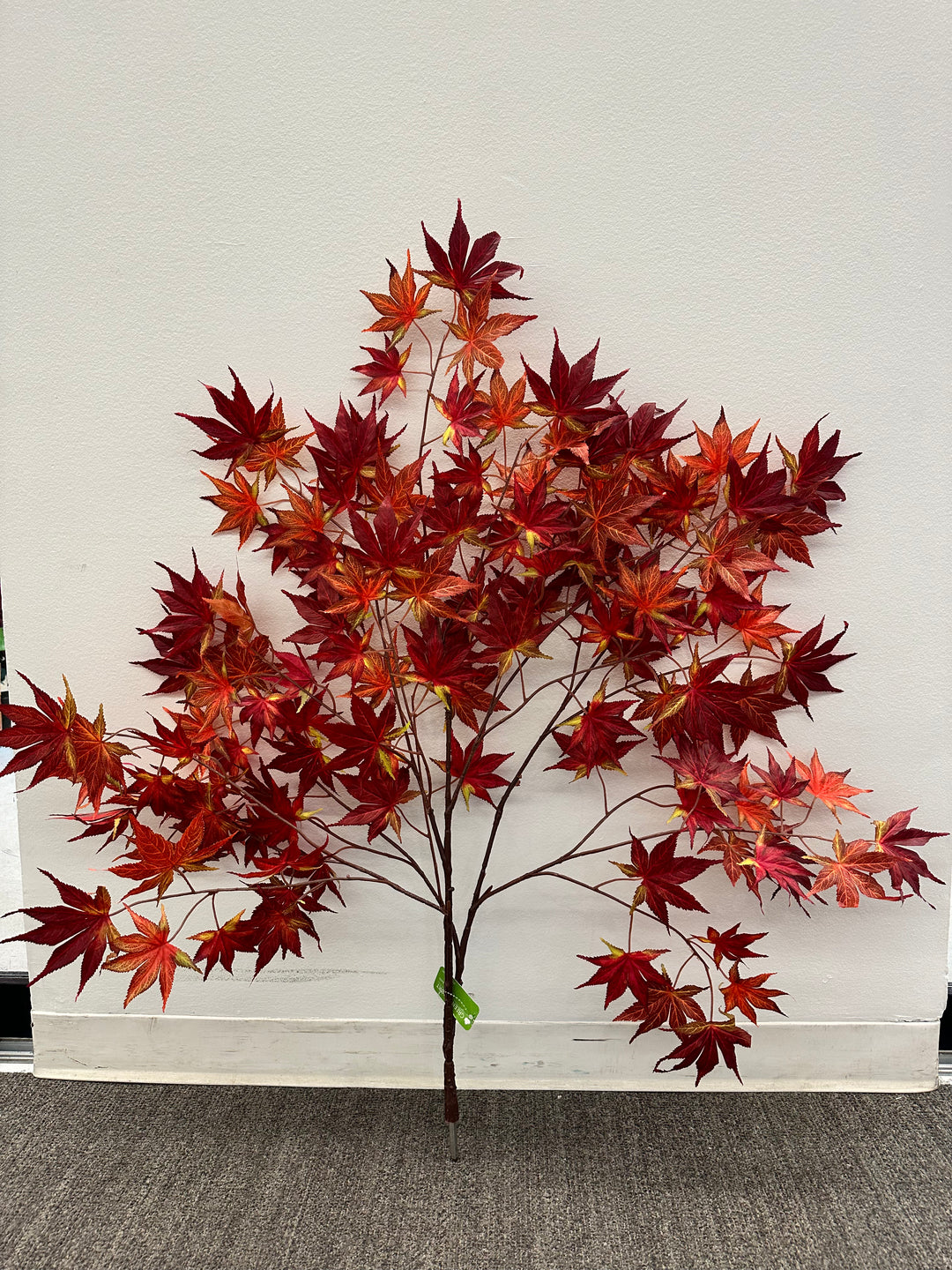 樹と花 Maple – Green Import Limited
