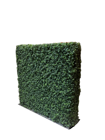 UVT1034 BOXWOOD HEDGE (UV) 4'x4'x12"