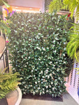 UVT1026 BAY LEAF HEDGE (UV) 6'x4'x12"