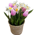 PA20013 POTTED TULIP/NARCISSUS 12"