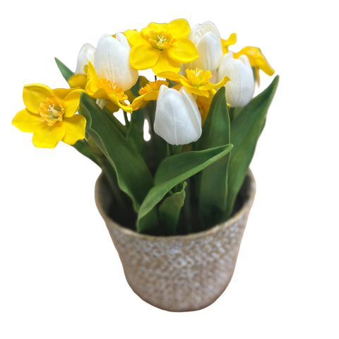 PA20013 POTTED TULIP/NARCISSUS 12"