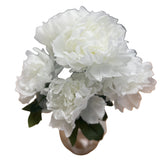 PA20008 PEONY IN GLASS 16"