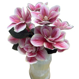 PA20009 MAGNOLIA IN GLASS 19"