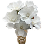 PA20009 MAGNOLIA IN GLASS 19"