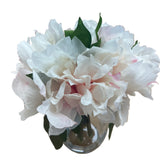 PA20003 PEONY IN GLASS 9"