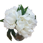 PA20003 PEONY IN GLASS 9"