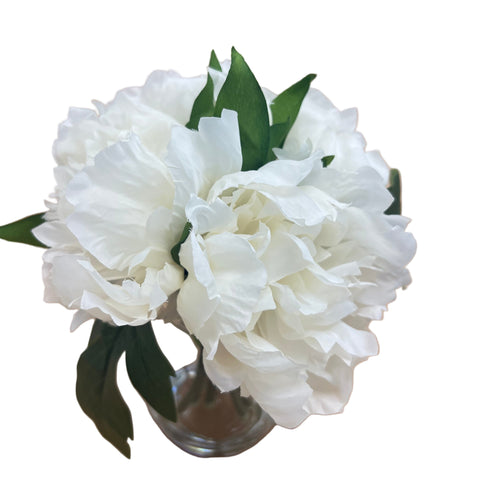 PA20003 PEONY IN GLASS 9"