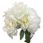 PA20010 PEONY IN CERAMIC POT 11.5"