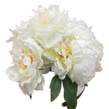 PA20010 PEONY IN CERAMIC POT 11.5"