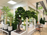 UVT1121 PINE BONSAI (UV),5'