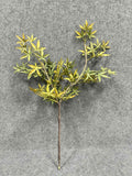 SY11205 JAPANESE MAPLE BRANCH  40"
