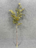 SY11206 JAPANESE MAPLE BRANCH  50"