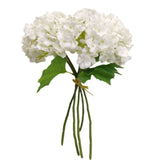 PA10371 HYDRANGEA BUNDLEx5 (NAT)