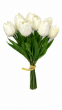 PA10404 MINI TULIP BUNDLEx12 13"