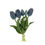 PA10416 TULIP BUNDLEx5 16"