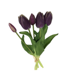 PA10416 TULIP BUNDLEx5 16"