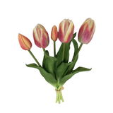 PA10416 TULIP BUNDLEx5 16"