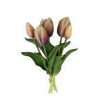 PA10416 TULIP BUNDLEx5 16"
