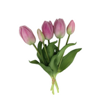 PA10416 TULIP BUNDLEx5 16"