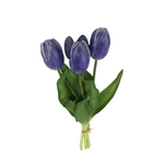 PA10416 TULIP BUNDLEx5 16"